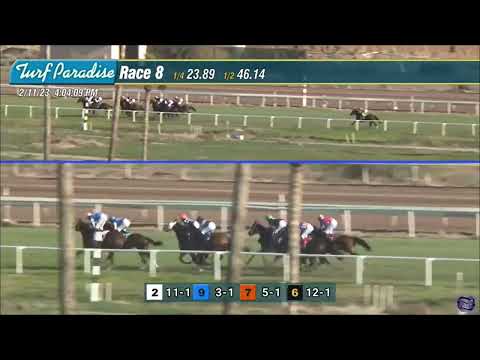 Video: Carreras de caballos en Turf Paradise en Phoenix