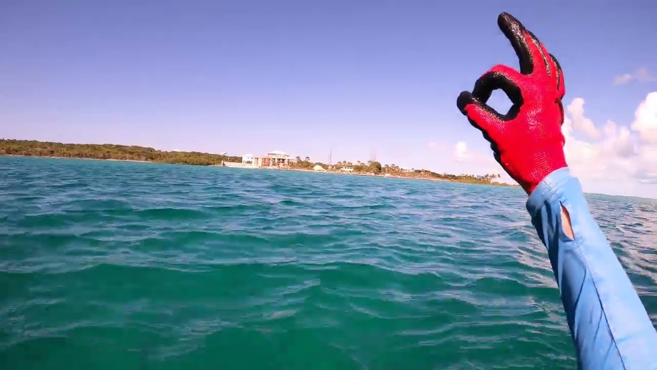 70ft down into a Blue Hole, Exuma Bahamas