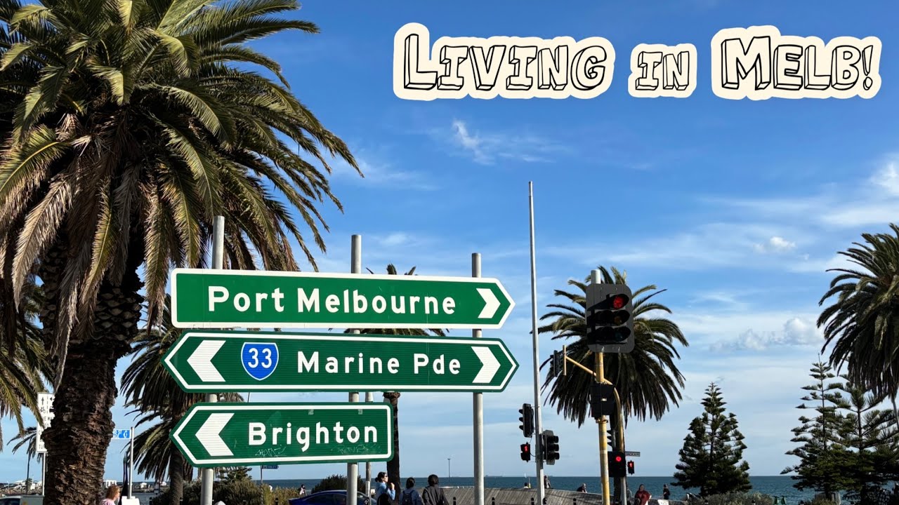 🐨 멜버른 Vlog / 생애 첫 해외에서 투표 / 퇴근길 시티뷰 / 집도 잡도 있는 워홀러 일상 / 세인트킬다 / 피쉬앤칩스맛집 / CPR 교육