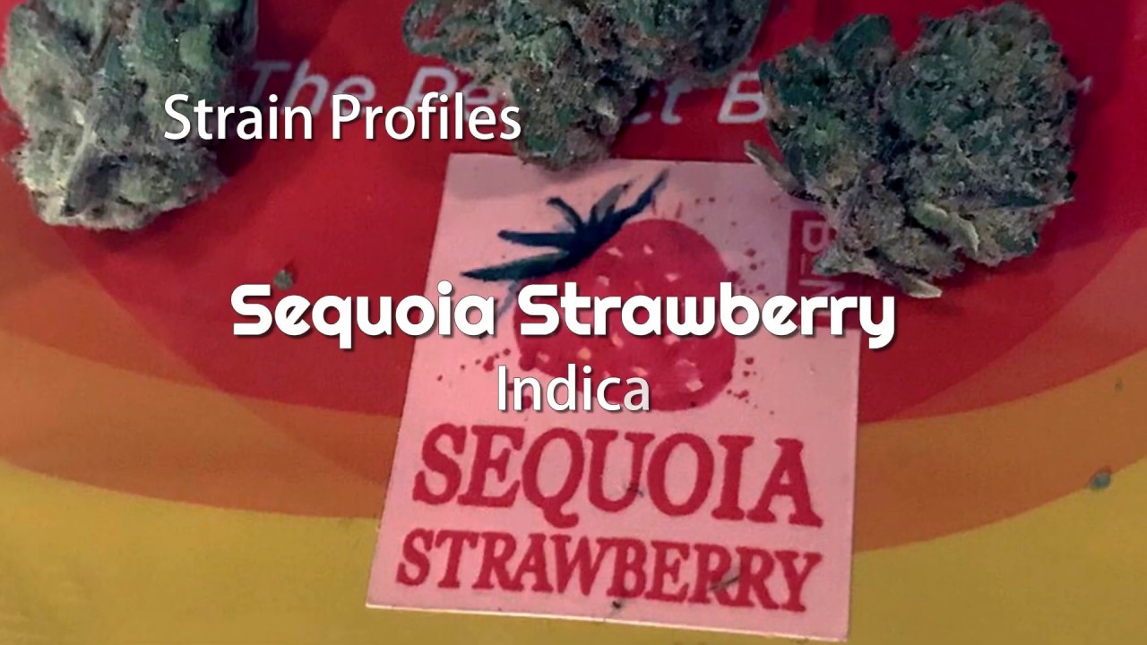 Sequoia Strawberry