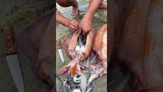 MASSIVE 4.5 KG Squid Cleaning Tutorial | SATISFYING Seafood Prep for EPIC Lunch! 🦑