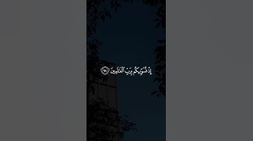 وَلا تُخْزِنِي يَوْمَ يُبْعَثونَ #سورة_الشعراء #احمد_النفيس