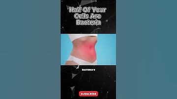 Half of Your Cells Are Bacteria: The Shocking Truth About Your Body!