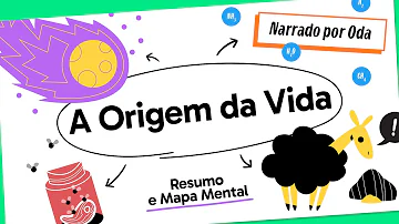 O que é o fenómeno da vida?