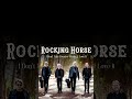 #rockinghorse I Don't Like Country Music...I Love It!
