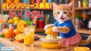 大逆転】ソファにジュースをこぼして泣いた子猫ここにゃん…初めて働い