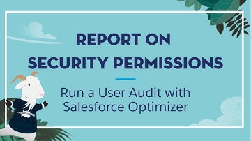 Use Salesforce Optimizer to Perform a User Audit