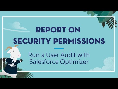 Video: Ano ang Salesforce audit?