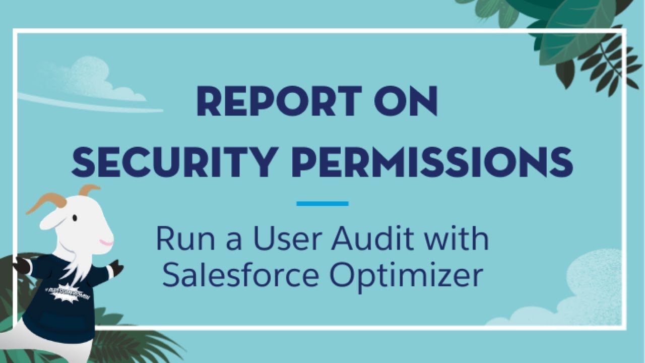 Use Salesforce Optimizer to Perform a User Audit