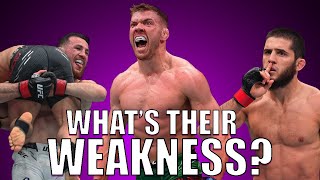 How to Beat Every Single UFC Champion