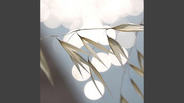 Energetic Backdrops for Nocturnal Dreams