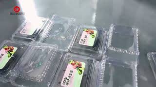 Fully Automatic Flat Surface Labeling Machine