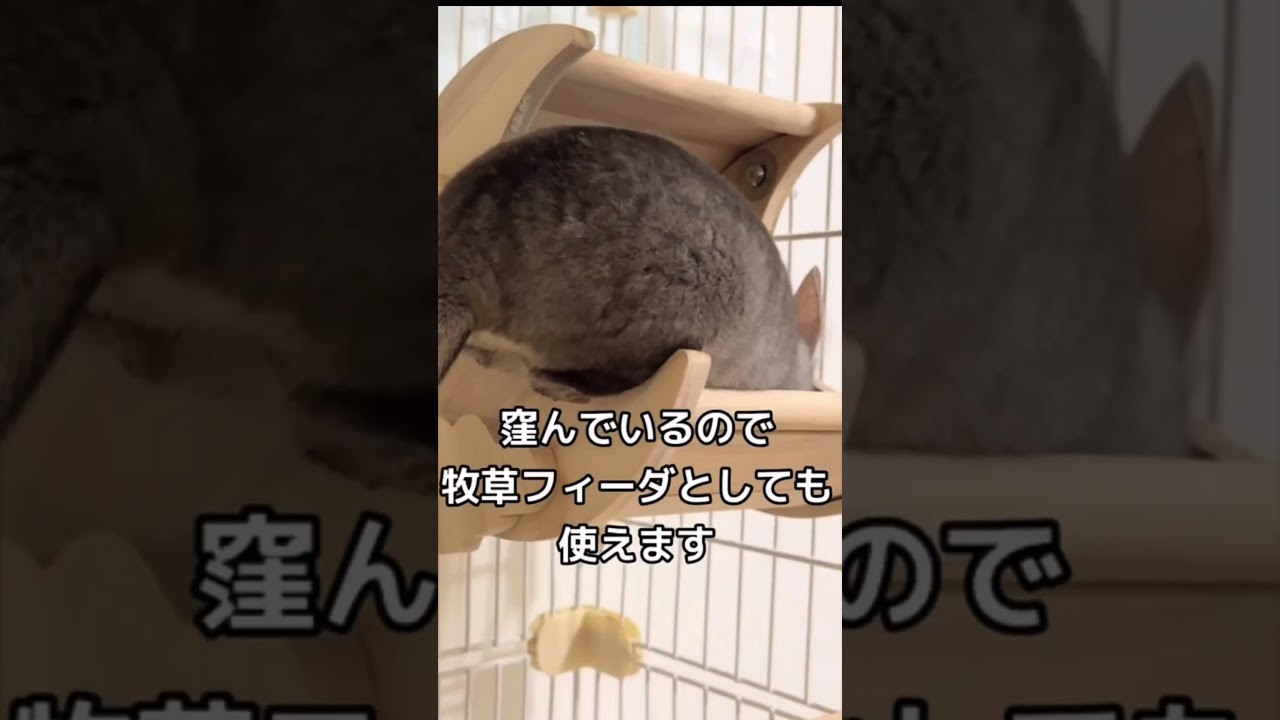 チンチラもふもふ共和国 フィーダーにもなる月の木製ステップ 通常