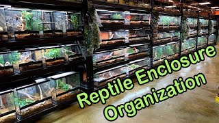 Reptile Storage Options (Shelving)