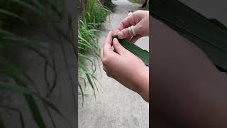 Làm thuyền bằng lá #funny #boat #diy #handmade