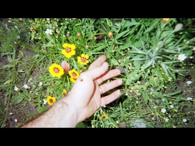 Aldrich - Drenched in Summer (Live on the Porch)