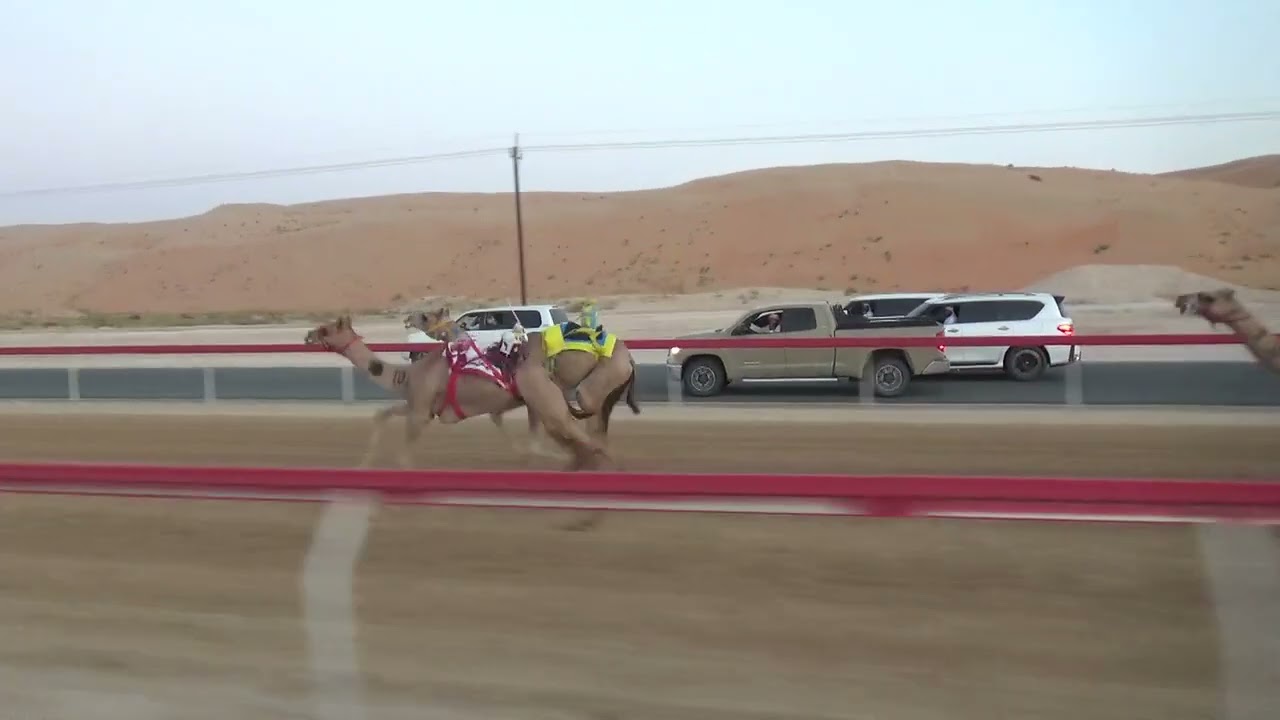 الشوط 1:(اثاره) ل: علي الصغير مرشد المنصوري توقيت 2.58.41