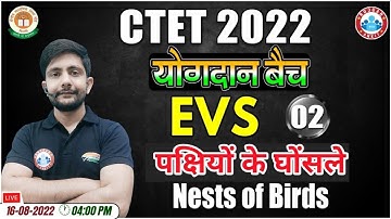 पक्षियों के घोंसले, Bird