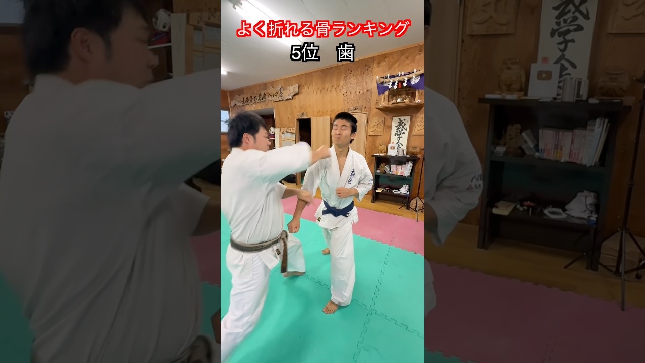【武道・武術】戦う人がよく折れる骨ランキング!トップ5!!#aikido #karate #martial #武道 #空手#筋トレ