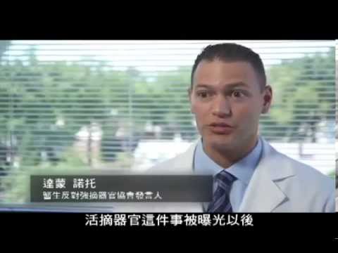 Killed for Organs China s Secret State Transplant Business 中文字幕版