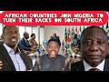 African Countries Turn their Backs On South Africa Due to Attacks on Nigerians and Others