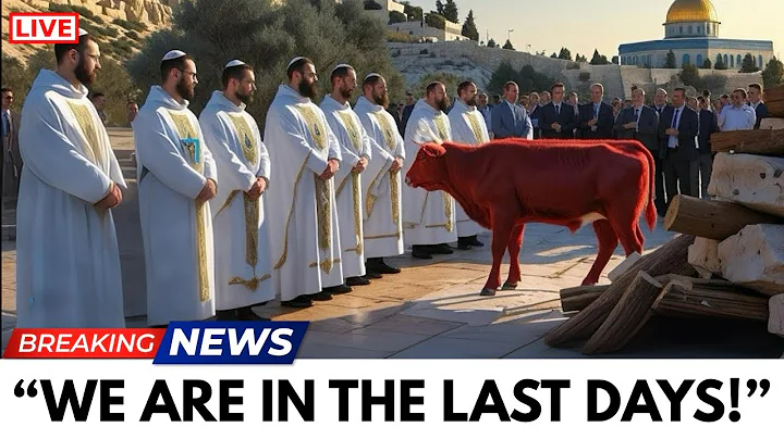 Third Temple Update: Perfect Red Heifer Approved, First Stone to Be Laid Soon!