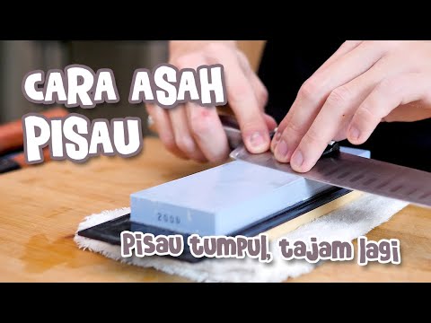 Video: 3 Cara Memproses Daun Oregano untuk Perubatan Batuk