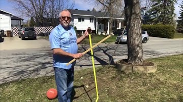 Tree Shadow Proportion - - - - MTH-2102