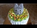 Торт КОТЁНОК в КОРЗИНЕ Торт с ТЮЛЬПАНАМИ Торт с цветами Украшение тортов Cake decorating