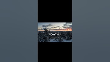 [ زين للناس حب الشهوات ] آل عمران بصوت القارئ عبدالرحمن مسعد #قرآن #ايات_القرآن_الكريم #السعودية