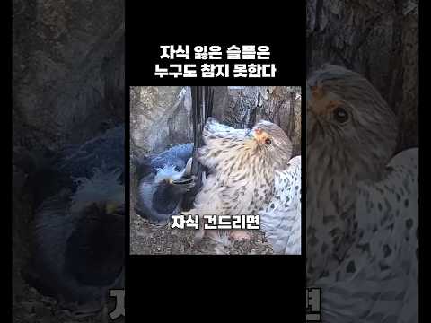 자식 잃은 슬픔은 누구도 참지 못한다