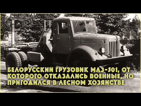 Белорусский грузовик МАЗ-501, от которого отказались военные, но пригодился в лесном хозяйстве