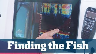 Finding the Fish  - Florida Sport Fishing TV