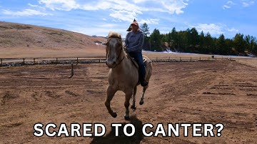 HOW TO CANTER ON A HORSE WITHOUT FEAR!!?😬🐎