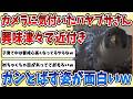 【2ch動物スレ】カメラに気付いた子育て中の【ハヤブサ】が興味津々になりながらもガン飛ばす姿があまりにも面白すぎるｗｗｗ