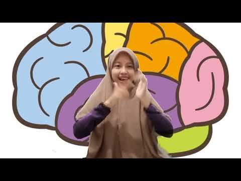Brain Gym 'senam