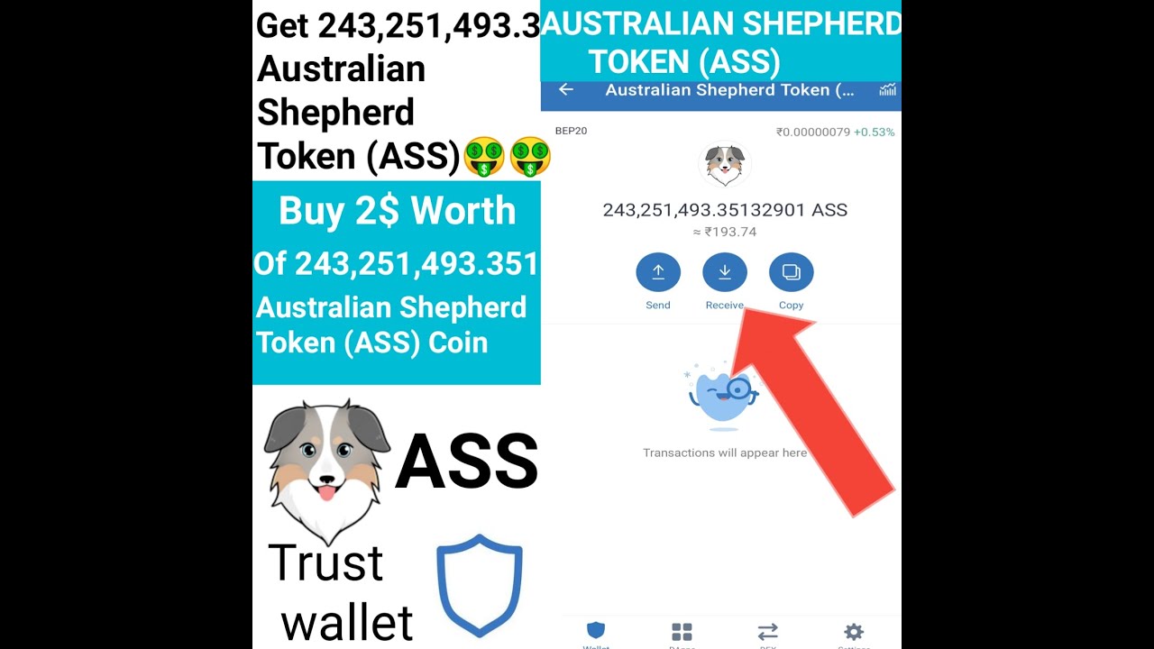 How to swap Australian Shepherd Token(ASS) get 243,251,493.351🤑 ASS 🤑coin with 2$ Dollars.