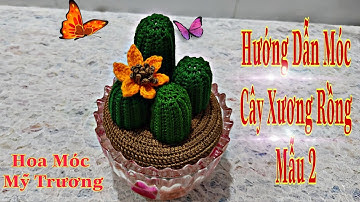 Hướng Dẫn Móc Cây Xương Rồng Mẫu 2.( How to crochet a cactus).Hoa Móc Mỹ Trương