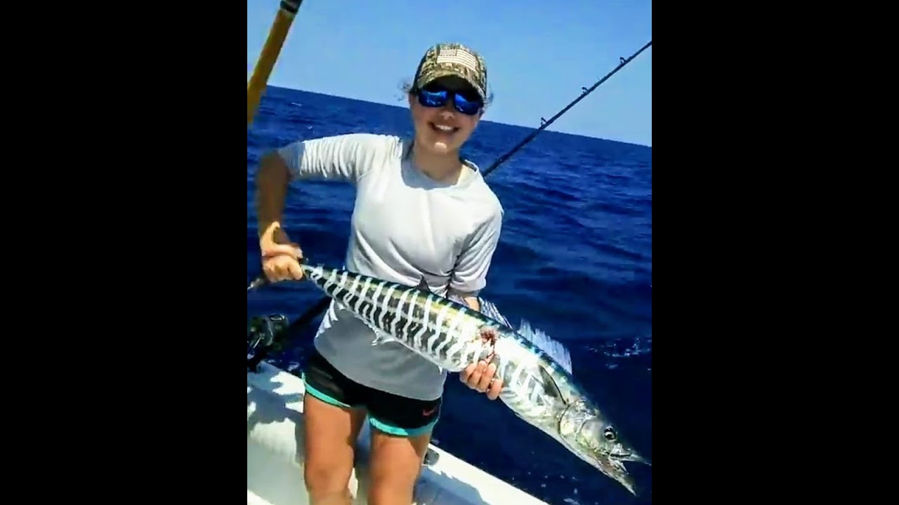 Wahoo Madness live bait Wahoo fishing YouTube