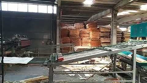 plywood Veneer stacker bins veneer sorting machine