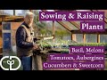 Sowing for Summer, warmth loving vegetables and flowers