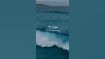💎 تلاوة خاشعة من سورة الجاثية بصوت ياسر الدوسري#قران #أرح_نفسك4u #قران_كريم #🤲🏻#راحة_نفسية_للقلب🤲📿💕