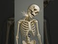 How Your Phone is Breaking Your Skeleton 🦴📱#shorts