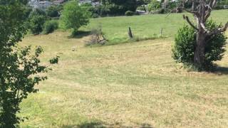 Terrain following demo video