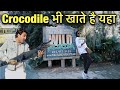 Crocodile भी खाते है यहा | Alligator Safari In Florida | Wild Florida | Indian Vlogger In America