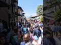 桜シーズン終了後の清水寺|土曜日、観光客ほぼ外国人で大混雑…【京都】