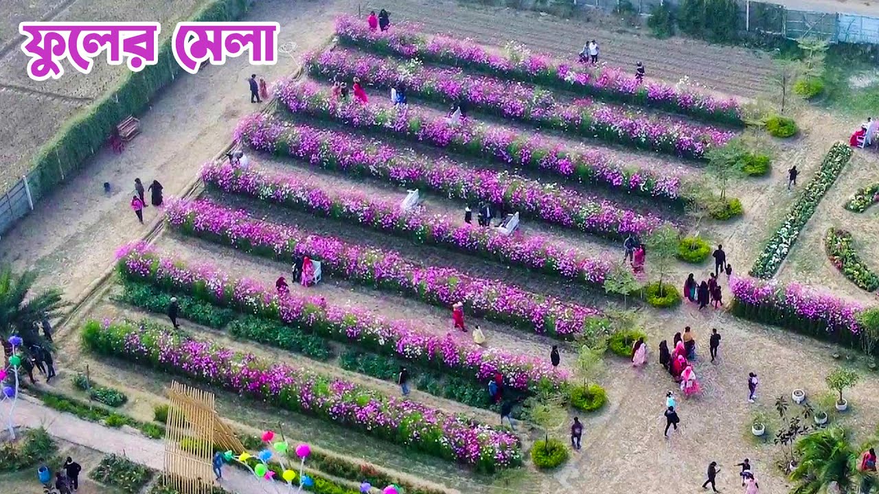 ফুলের মেলা যশোরের পানিসারায় || Panorama Documentary