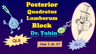 Posterior Quadratus Lumborum Block | QLB2 | ultrasound-guided | Quadratus Lumborum(QL) Block Type 2