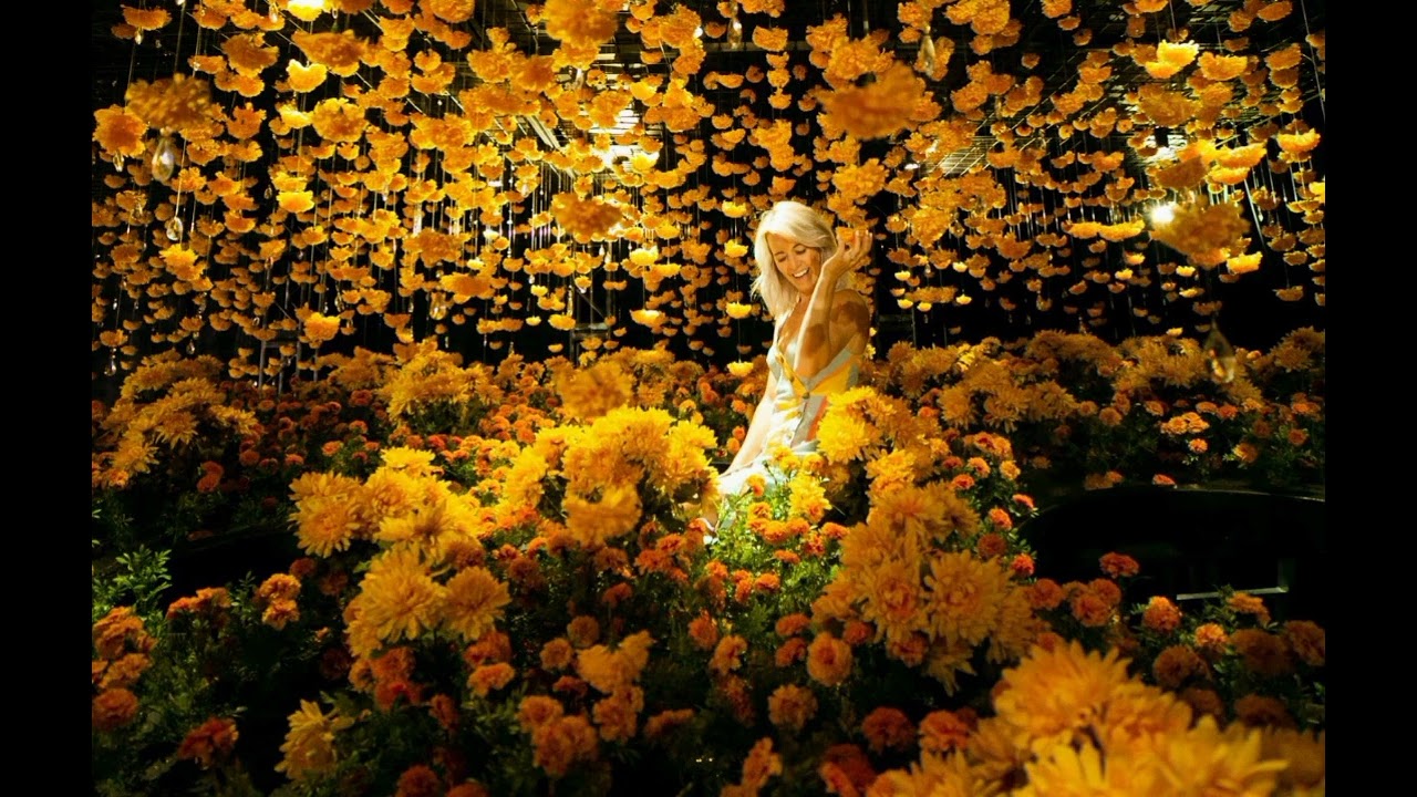 "my happy place" original song by SABERTOOTH ZOMBIE. produced by Reese Hanks.