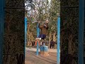 bodyweight muscle up #calisthenics #streetworkout #fitness #shorts #motivation #video